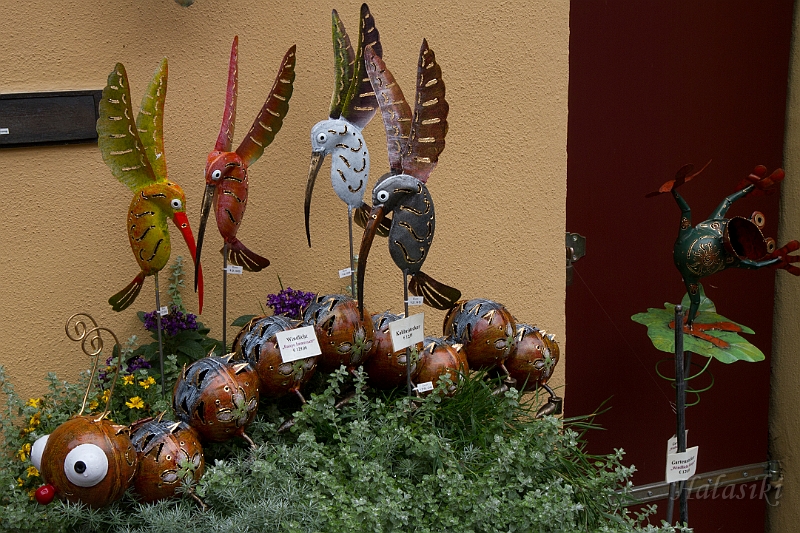 IMG_3520.jpg - Dinkelsbuhl.