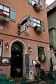 IMG_3481