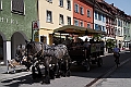 IMG_2007