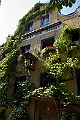 IMG_2045
