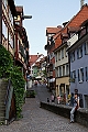 IMG_2079