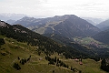 IMG_3131