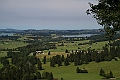 IMG_2267
