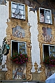 IMG_2918