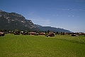 IMG_2338