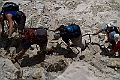 IMG_2562