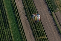 _DSC0296