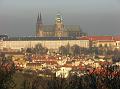 IMG_1893