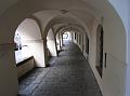 IMG_2153
