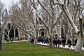 IMG_4889