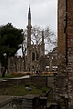 IMG_4893