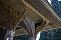 IMG_4916