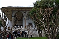 IMG_4921