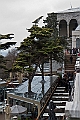 IMG_4934