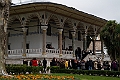 IMG_4978