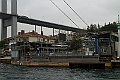 IMG_5593