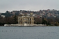 IMG_5639