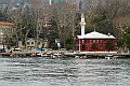 IMG_5652