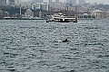 IMG_5728